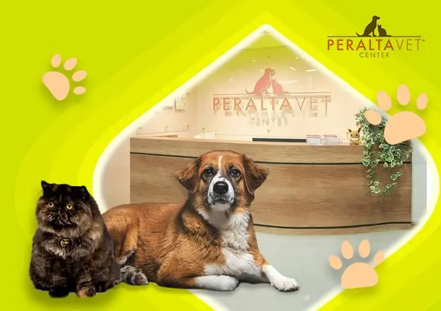 EastWest Up to 10% savings on pet care essentials at Peralta Veterinary Center official promo image